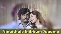 Ninaithale Inikkum Sugame - Rajinikanth, Sripriya - Billa - Super Hit Item Number