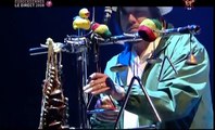 Ben Harper - Excuse Me Mr (Live Eurockéennes de belfort 2008