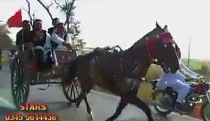 Lal Badshah horse try afzal khan