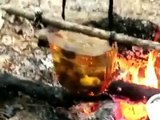 Panning for Gold in Georgia