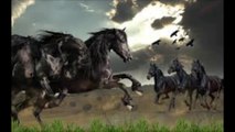 Novalis (Novalis Deux)-Wild Horses