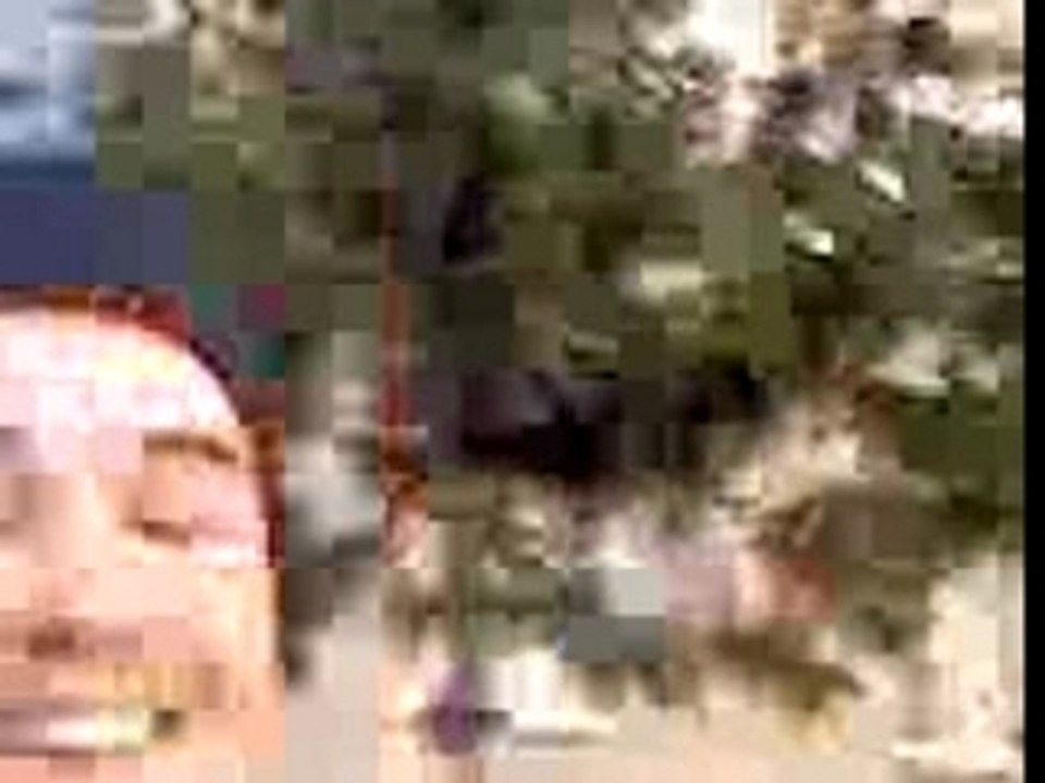 MOV00014