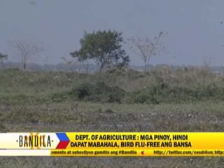 Philippines remains bird-flu free, gov't says