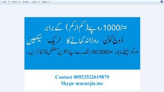 How to earn 250$ to 300$ a month in Pakistan