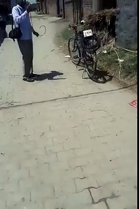 What an Idea