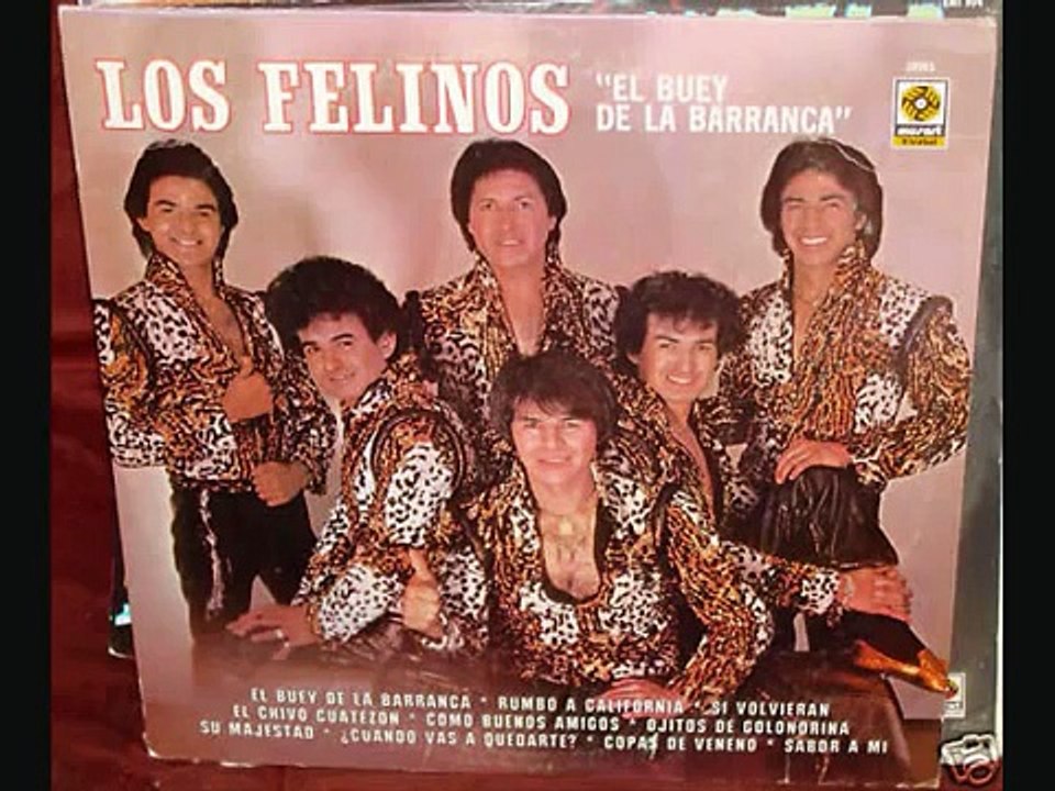 Los Felinos : Morena