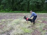 1/5 - Search & Rescue dog training - bark indication
