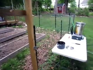 Simple Backyard Chicken Slaughtering Setup