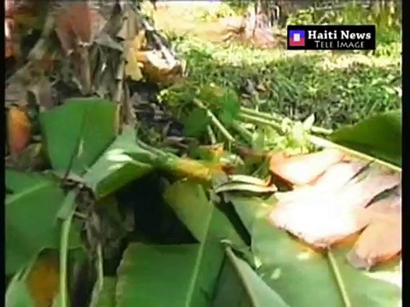 TELE IMAGE HAITI NEWS INNONDATIONS AUX CAYES