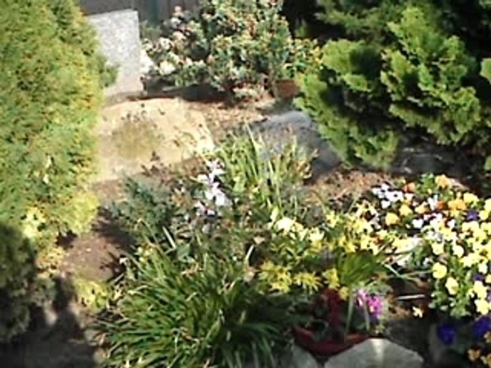 Cimetiere dark lol