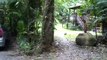 Best Yoga Retreat Location - Daintree rain-forest, Australia