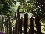 Bisonte Americano - Zoo a Perugia - Città della Domenica