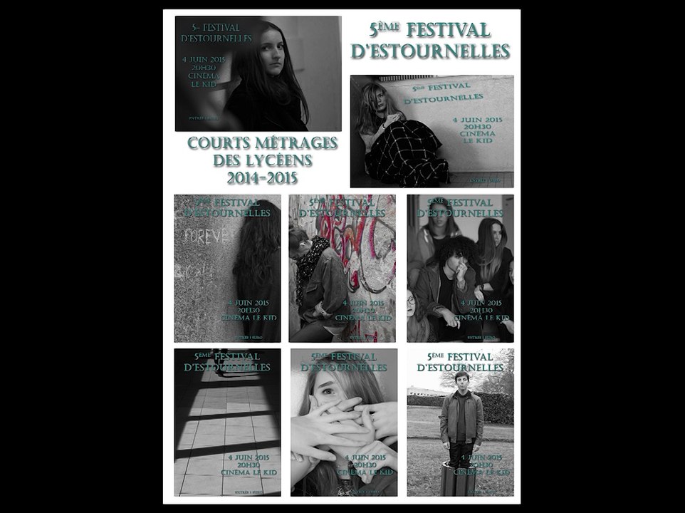 5ème Festival d'Estournelles