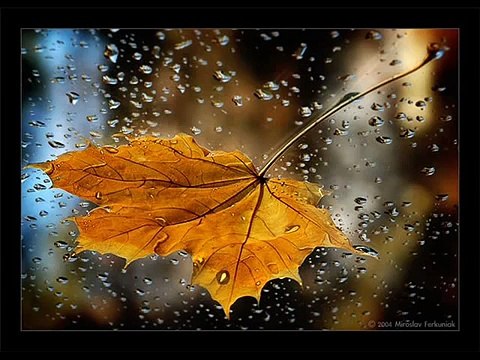 Черные глаза-русское танго-Яна Грей-Оскар Строк-Yana Gray-Russian Tango