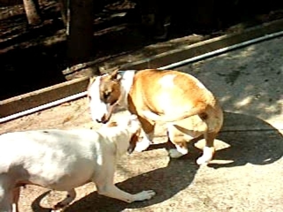 BUFFY ET ITI 1