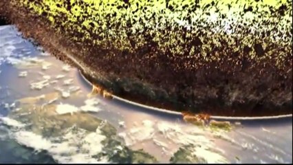 Simulation d'une météorite qui percute la Terre