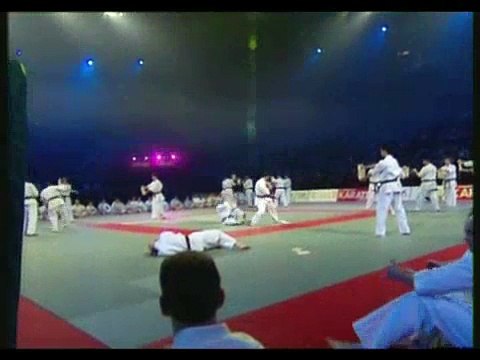 Festival des arts martiaux, Kyokushinkai bercy 2003