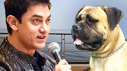 WTF! Aamir Dubs For Pluto In 'Dil Dhadakne Do'