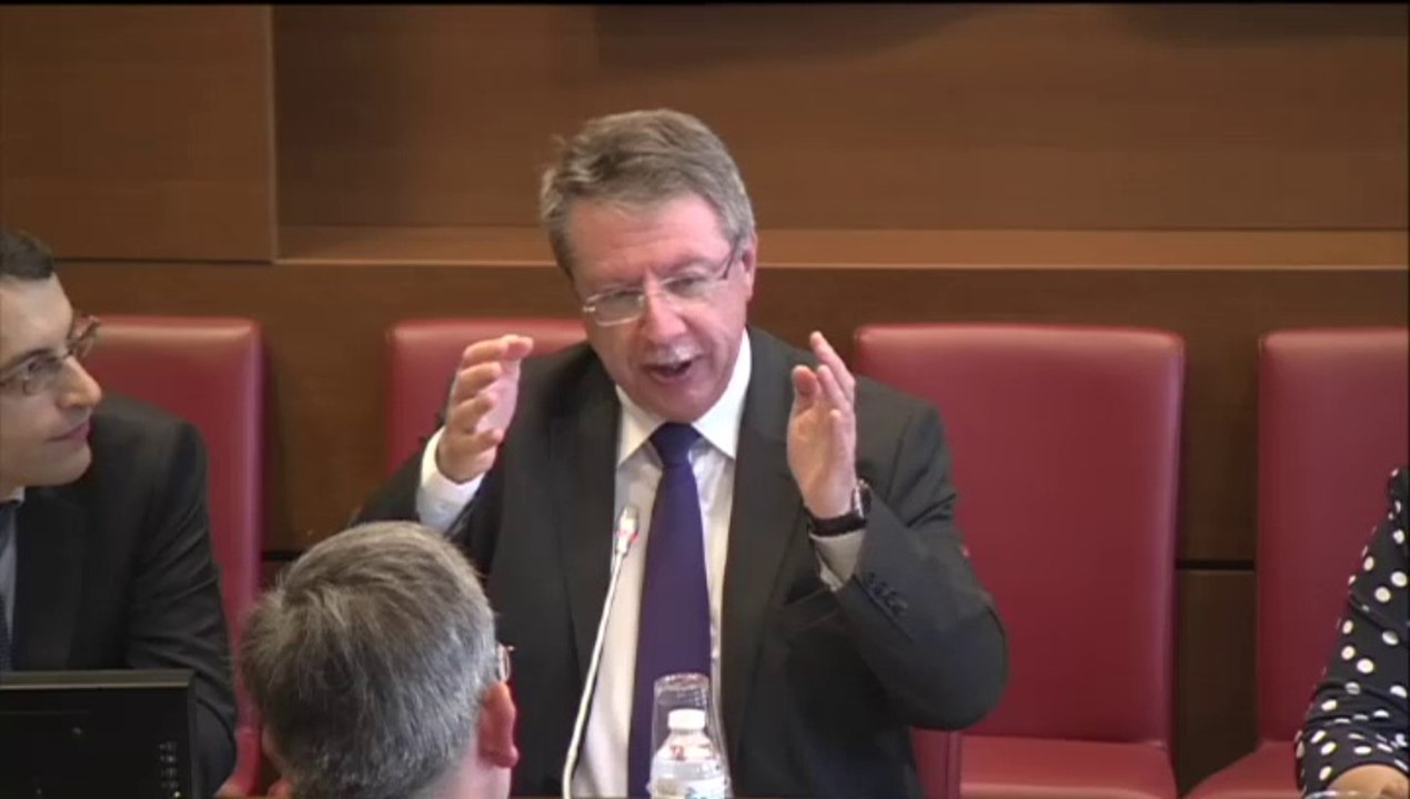 Rapport relatif à l'octroi de mer (2), 27 mai 2015