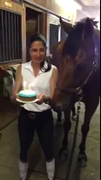 Un cheval souffle ses bougies d'anniversaire