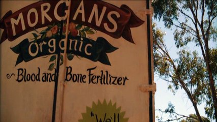 After Effects Project Files - Drama - Thriller - Movie Trailer - VideoHive 8251900