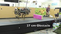 Un robot Guépard peut sauter des obstacles au MIT !