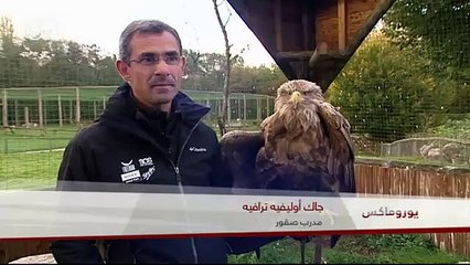 التصوير من الأعلى | يوروماكس