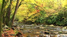 Great Smoky Mountains & Blue Ridge Parkway Relaxation Video