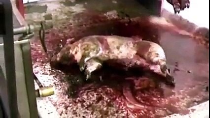 Please Dont Eat Fast Food