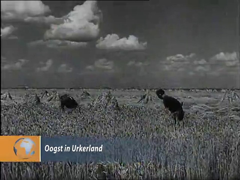 Oogsthulp - 1944