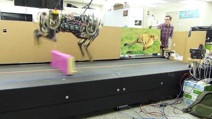 Le MIT fabrique un robot sauteur d’obstacles