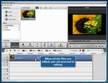 How to overlay audio over your video using AVS Video Editor?