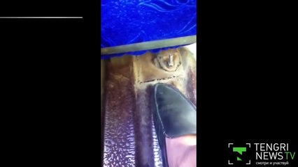 Пассажир избил кондуктора в Актобе из-за нежелания платить за проезд