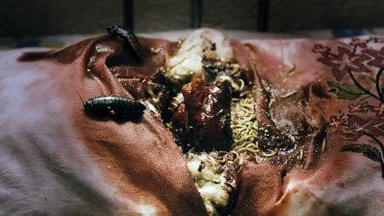 Siccin 2 2015 - Fragmanı İzle