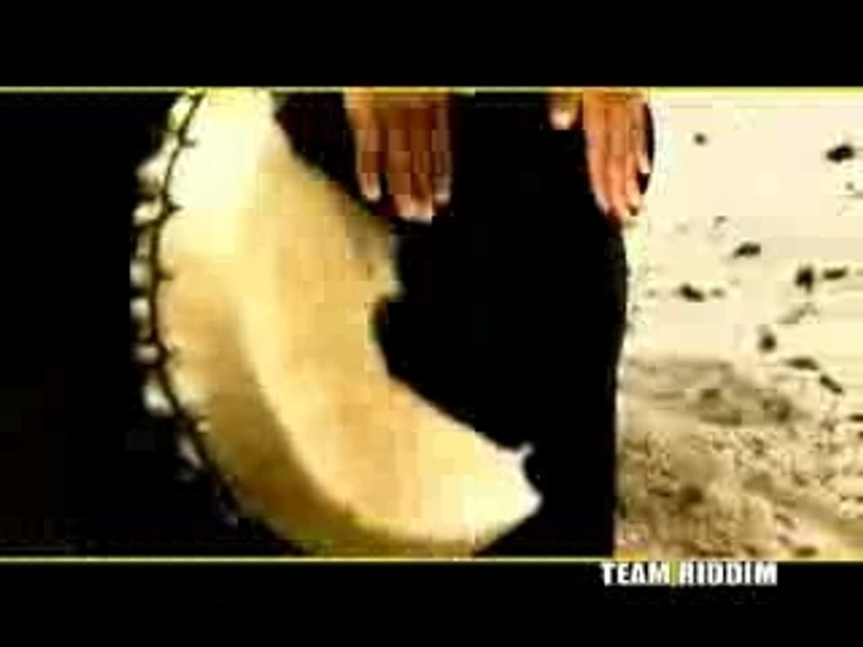 Team Riddim (Megamix)