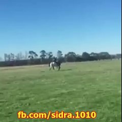 1) ‫ھاھاھا یہ ویڈیو ضرور دیکھیں -‬