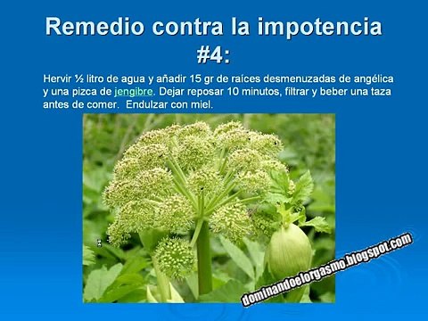 Mejorar Las Erecciones Con Remedios Caseros