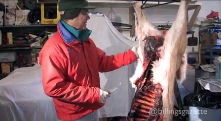 Hunt 'em up: Processing a deer: Skinning tips
