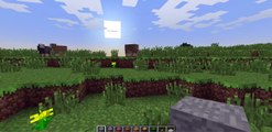 Cool seeds in Minecraft 1.2.4 Village, 3