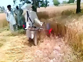 Wheat Cutting Machine