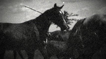 Flying Saucer Attack - Instrumental 7