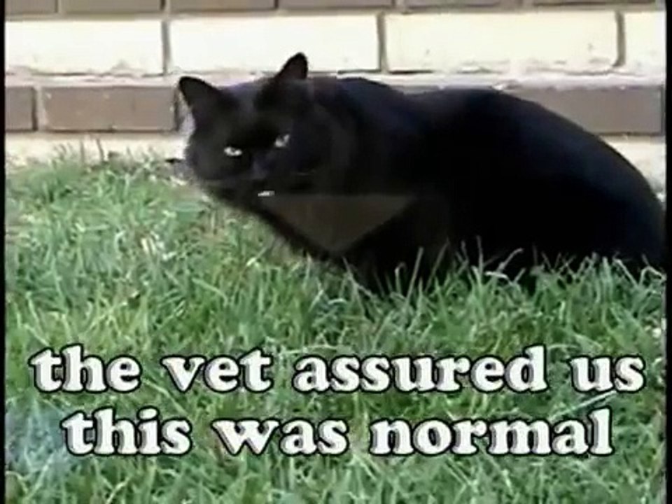 Mackenzie & Abner Go Outside