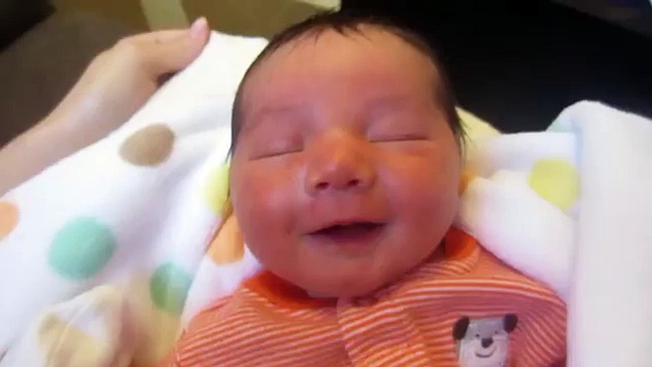 Ce que fait ce chien et qui fait rire ce bébé