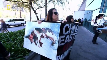 أسرار في الولايات المتحدة الأميركية HD : الحيوانات الخفية ep5