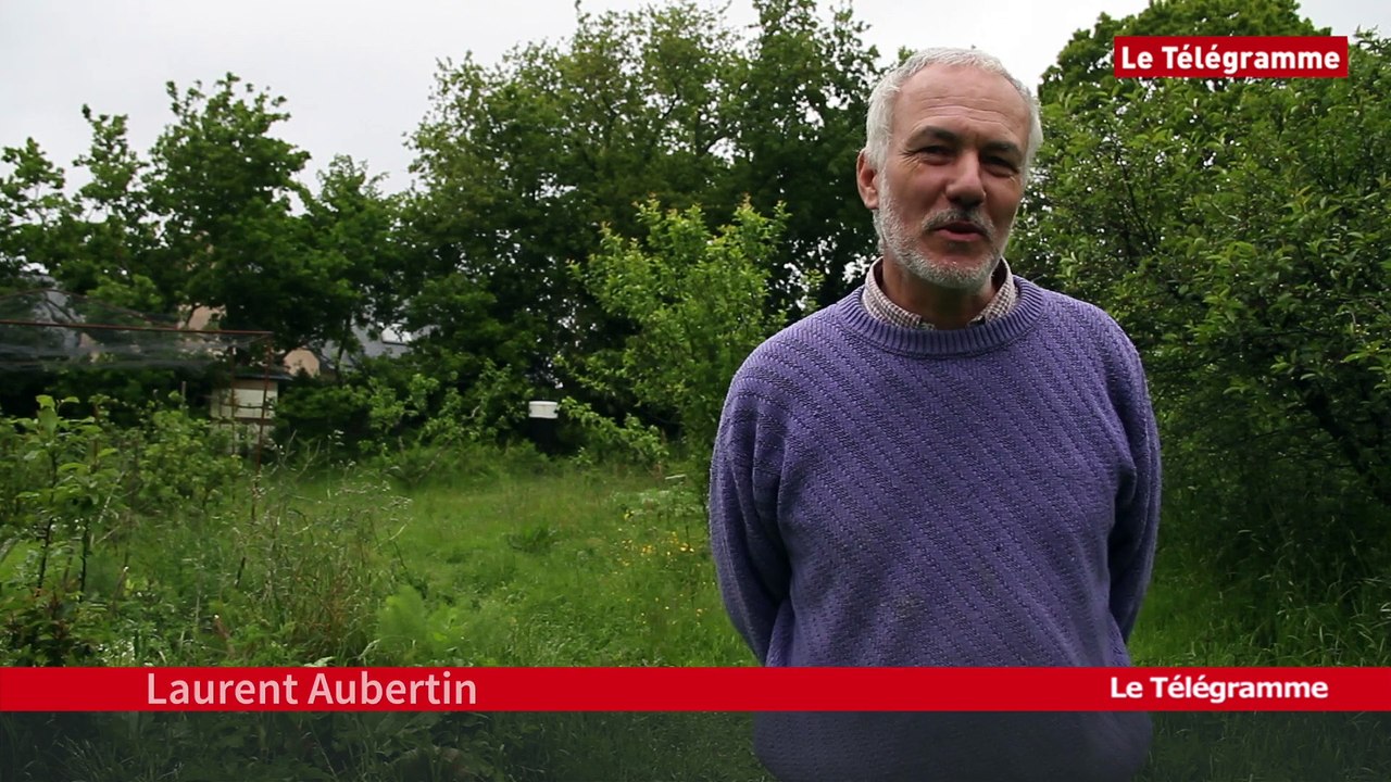 Lannion. Tankdrum : un instrument de musique « home-made »