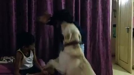 Height of Possessiveness