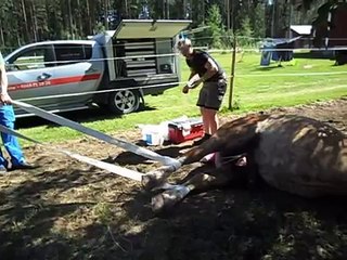 Lukas Apollon is getting castrated =)