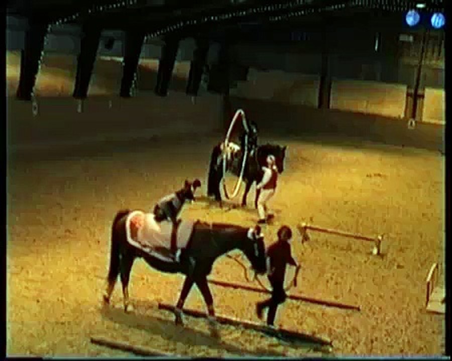 Weihnachtsreiten-Springen