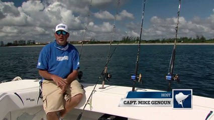 Flats Blue GROUPER & SNAPPER rig