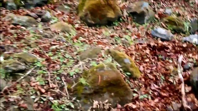 Nepal Earthquake - Trekkers in the middle of a landslide, Langtang Valley Trek Route. 7.8 Magnitude. 25th April 2015.